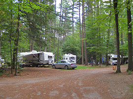 Shady Wooded Sites for RVs at Crown Point