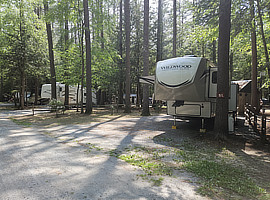 Campsites at Crown Point Camping Area