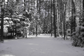 Beautiful Snowy seasonal sites at Crown Point Camping Area