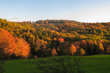 Autumn scenery at Crown Point Camping Area