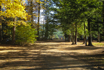 Quiet off-season roadway at Crown Point Camping Area
