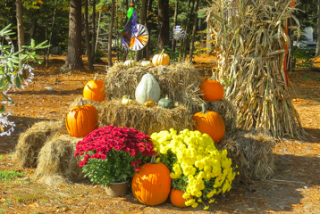 Harvest scene at Crown Point Camping Area