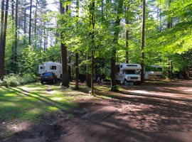 Campsites at Crown Point Camping Area
