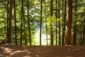 Forest View at Crown Point Camping